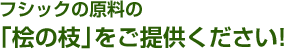 フシックの原料の「桧の枝」をご提供ください!